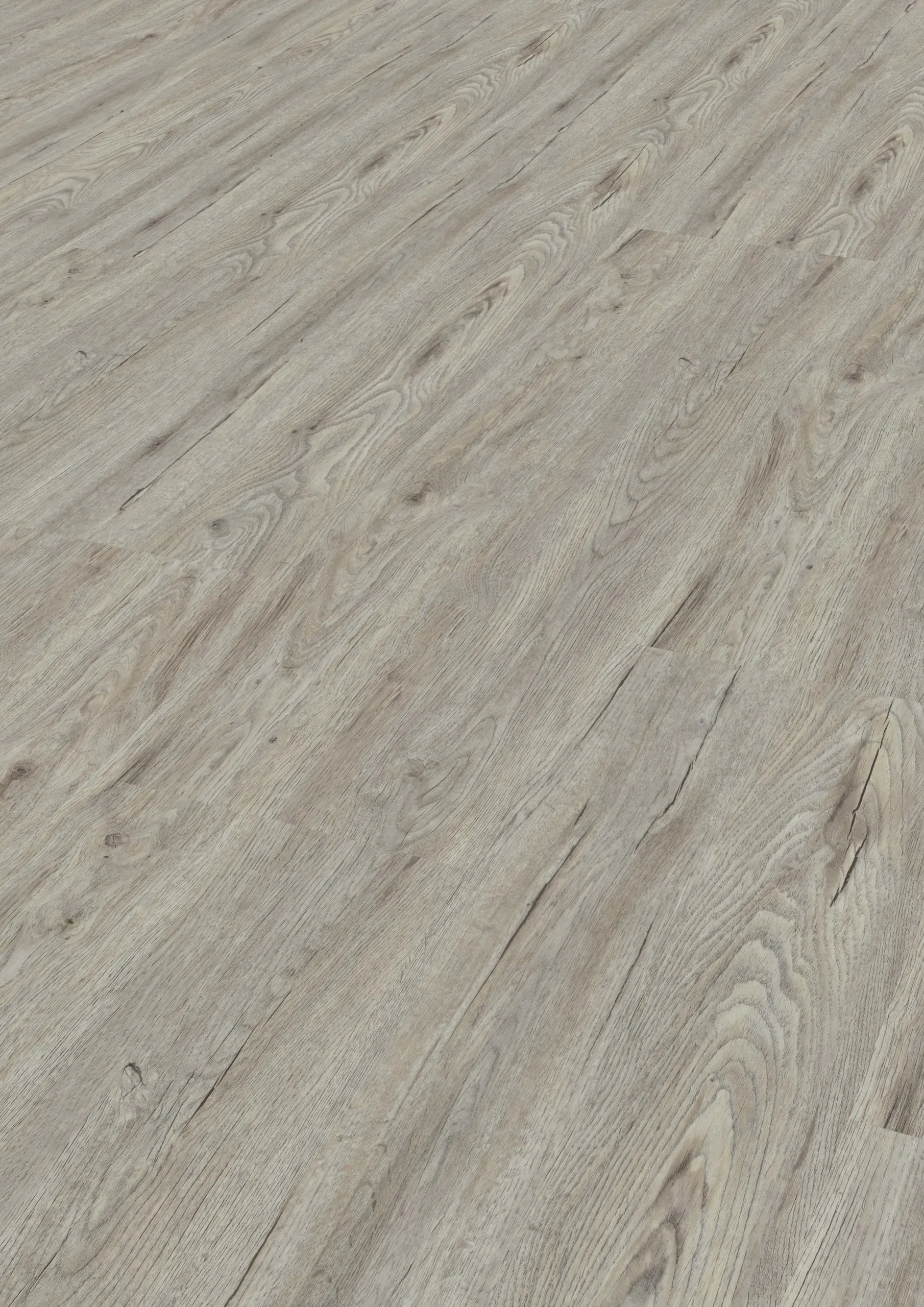 Modico-El-Torro-Basalteiche-303 Modico-El-Torro-Basalteiche-303