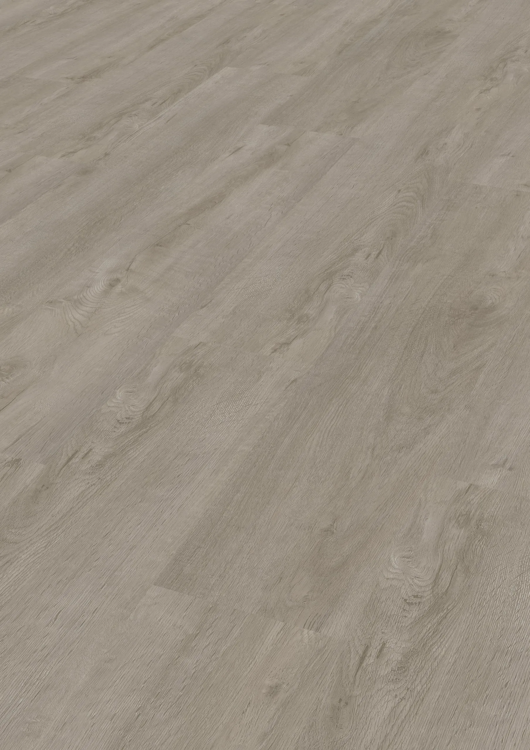 Modico-El-Torro-Cordobaeiche-grau-319 Modico-El-Torro-Cordobaeiche-grau-319