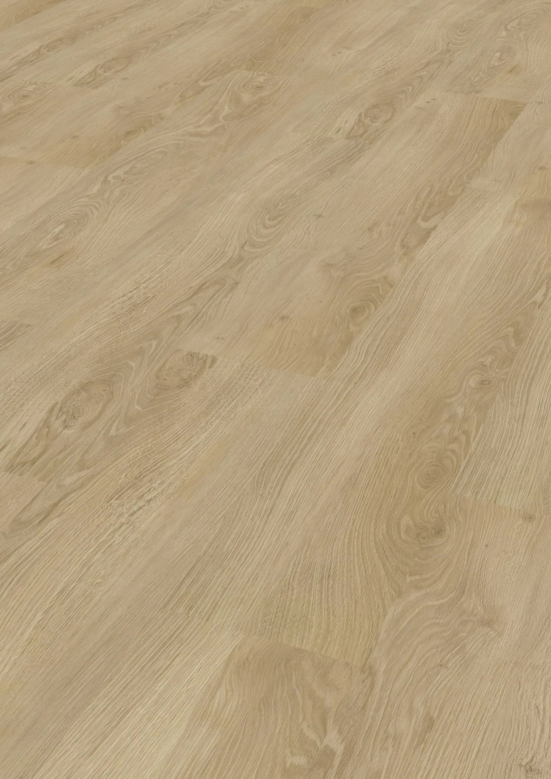 Modico-El-Torro-Marabellaeiche-317 Modico-El-Torro-Marabellaeiche-317