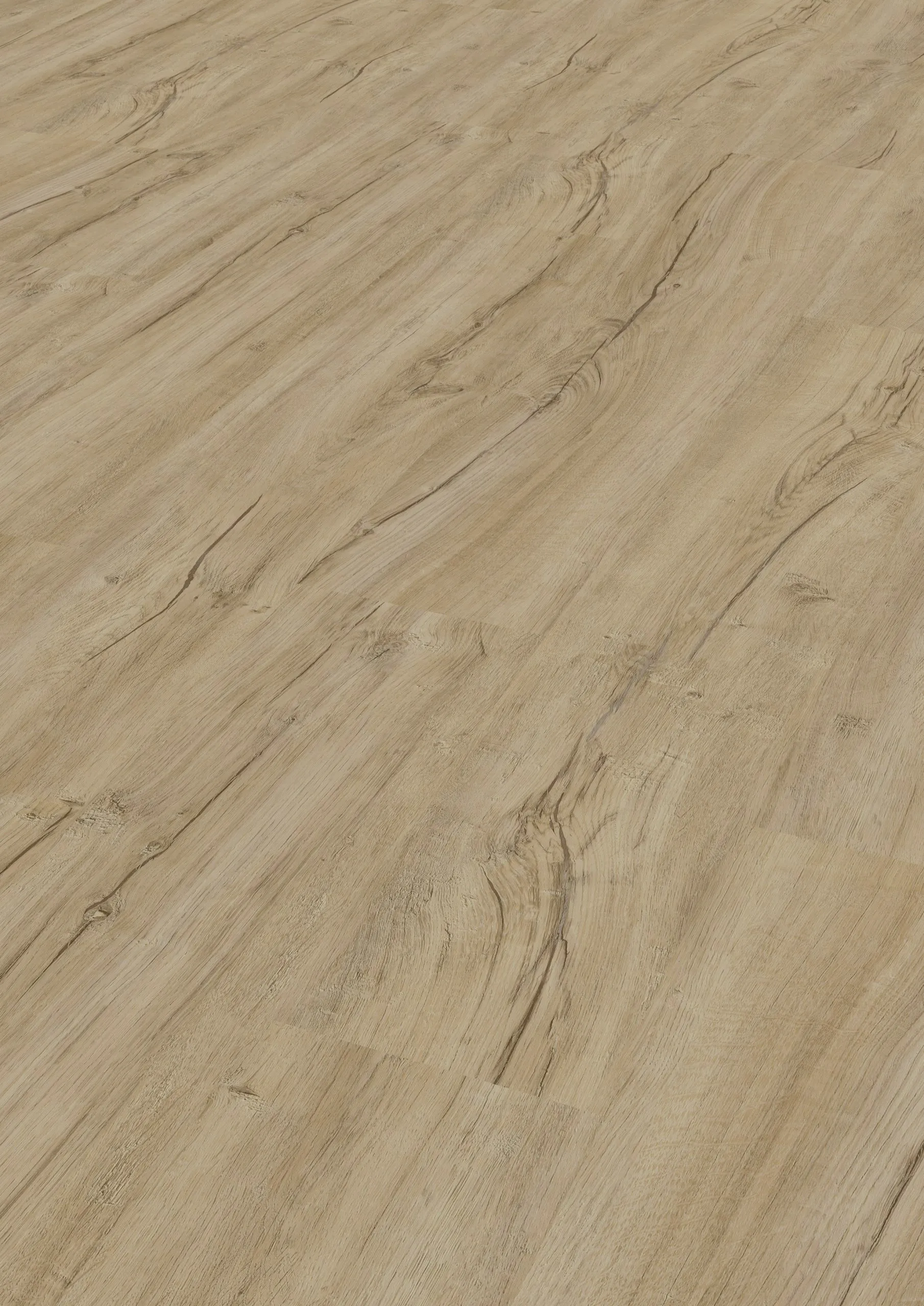 Modico-El-Torro-Saragossaeiche-rustik-316 Modico-El-Torro-Saragossaeiche-rustik-316