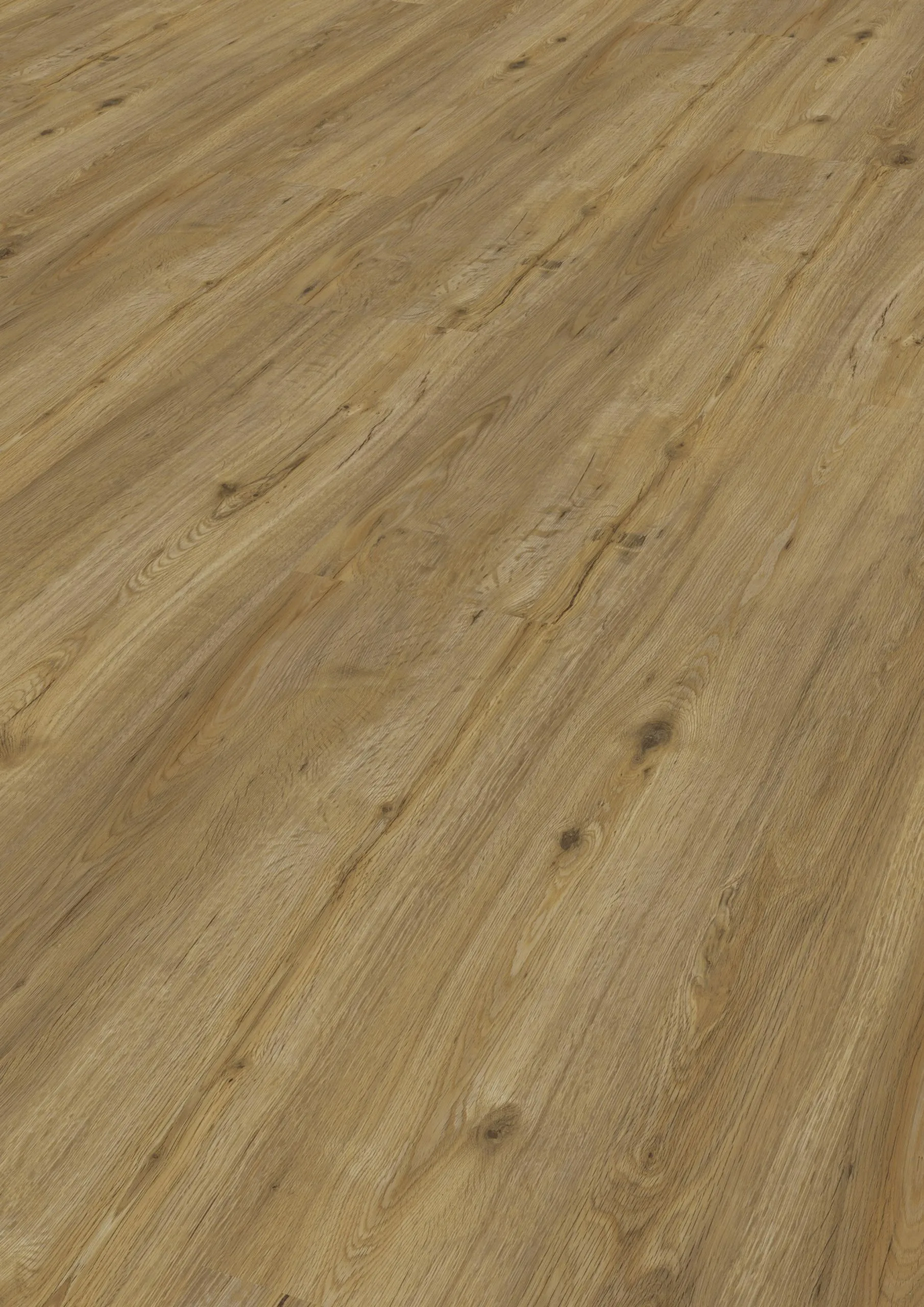 Modico-El-Torro-Cordobaeiche-grau-319 Modico-El-Torro-Cordobaeiche-grau-319