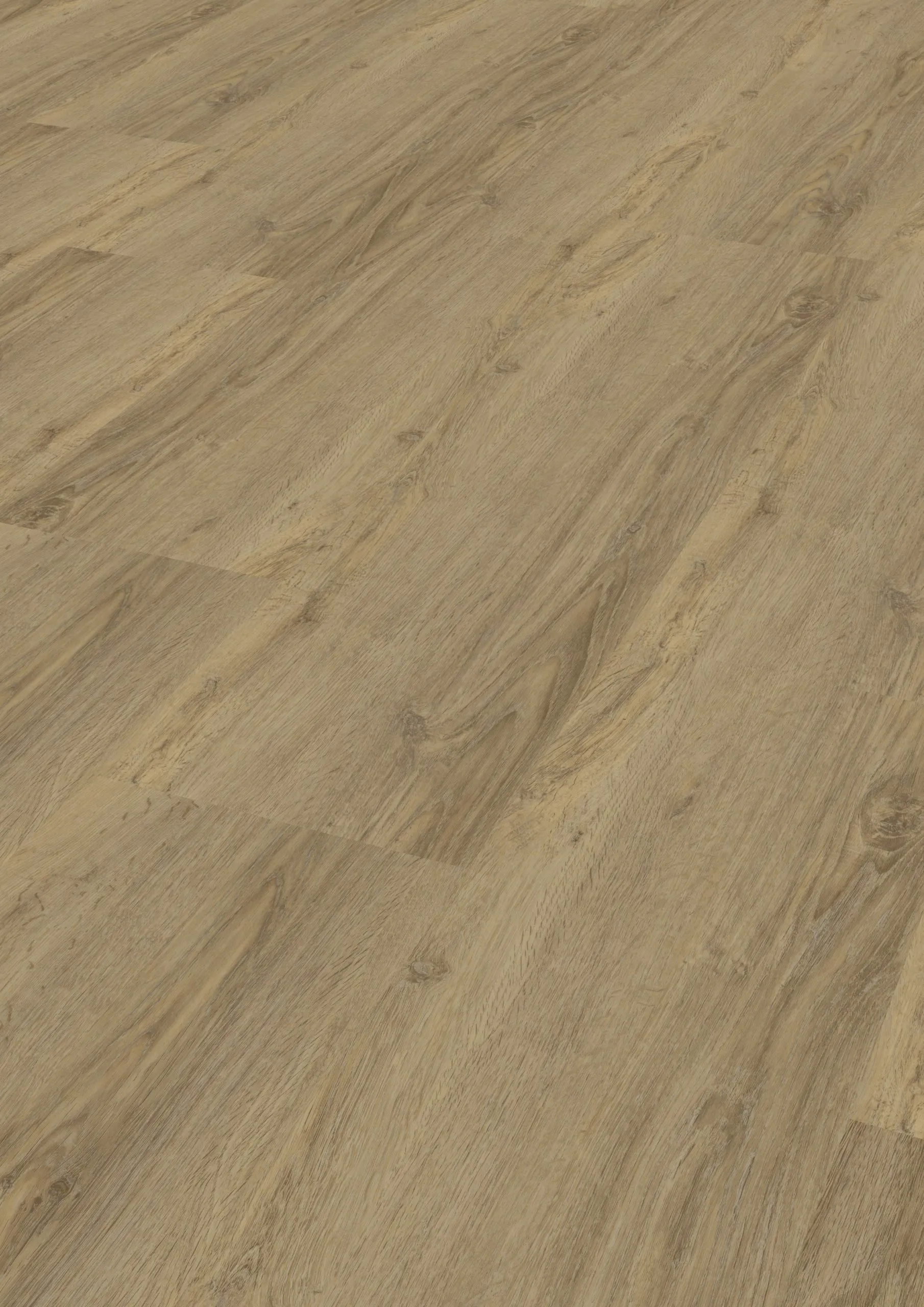 Modico-El-Torro-Wildeiche-306 Modico-El-Torro-Wildeiche-306