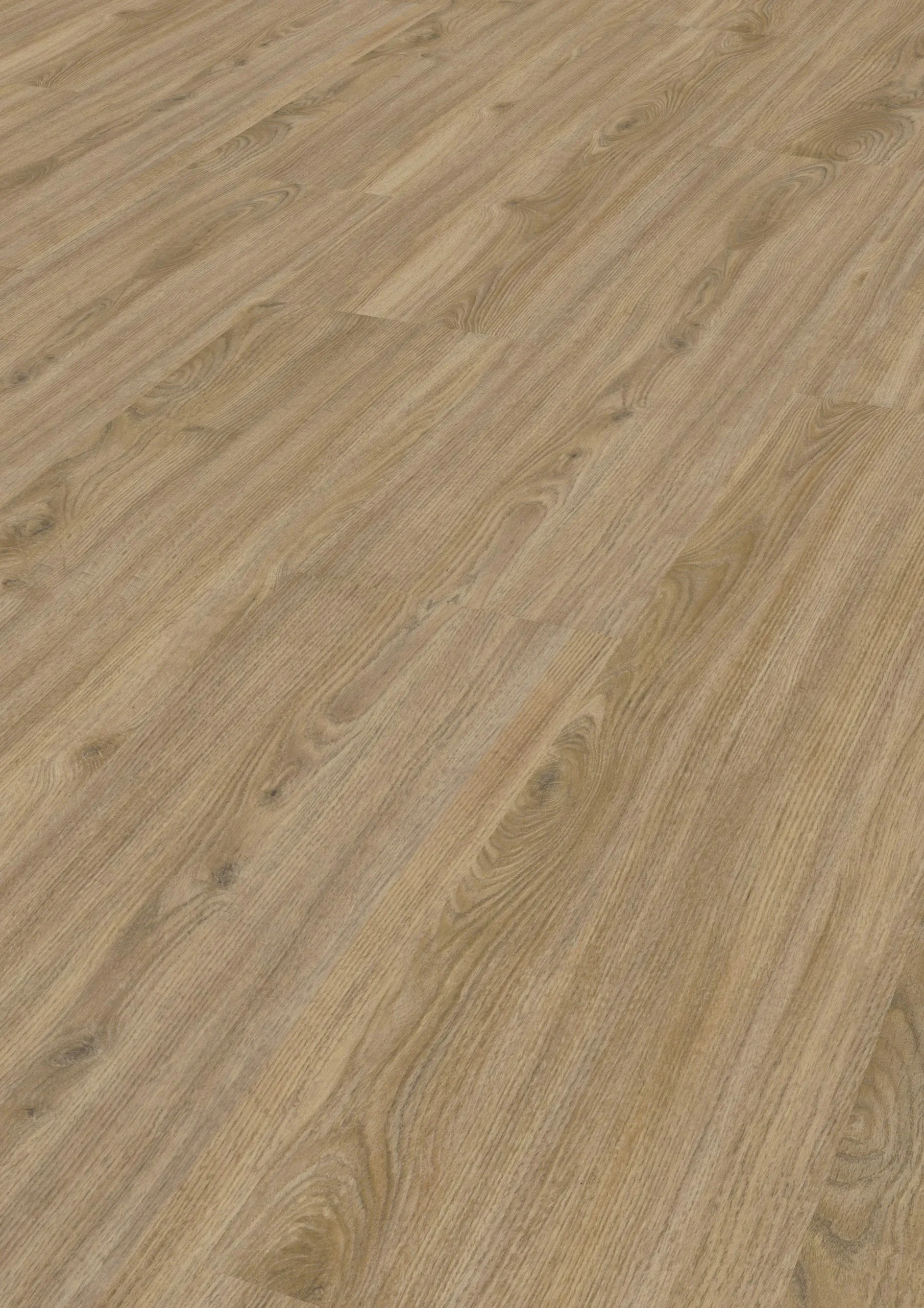 Printkork-Bergeiche-417 Printkork-Bergeiche-417