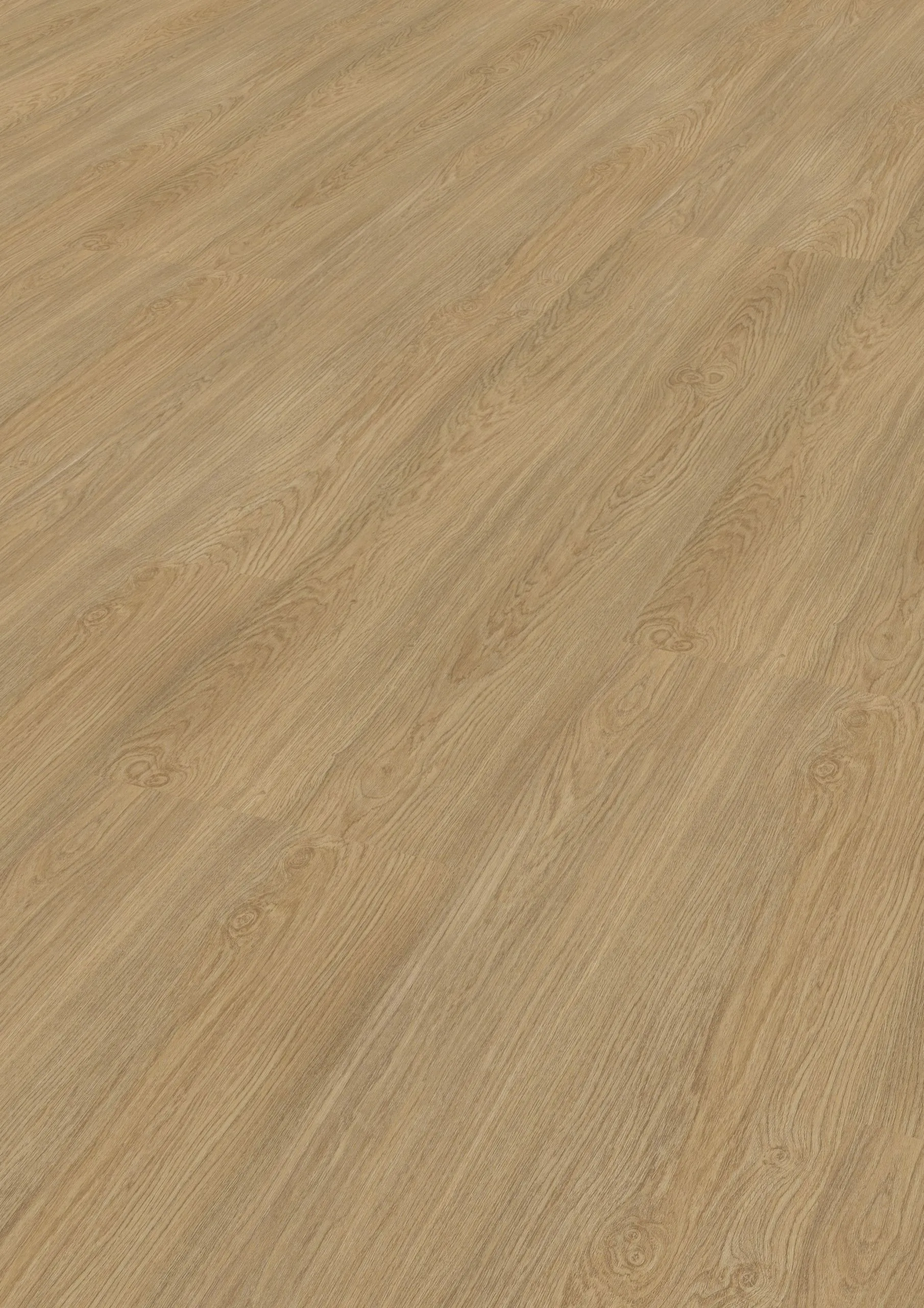 Select49-Eco-Norddeutsche-Eiche-295 Select49-Eco-Norddeutsche-Eiche-295