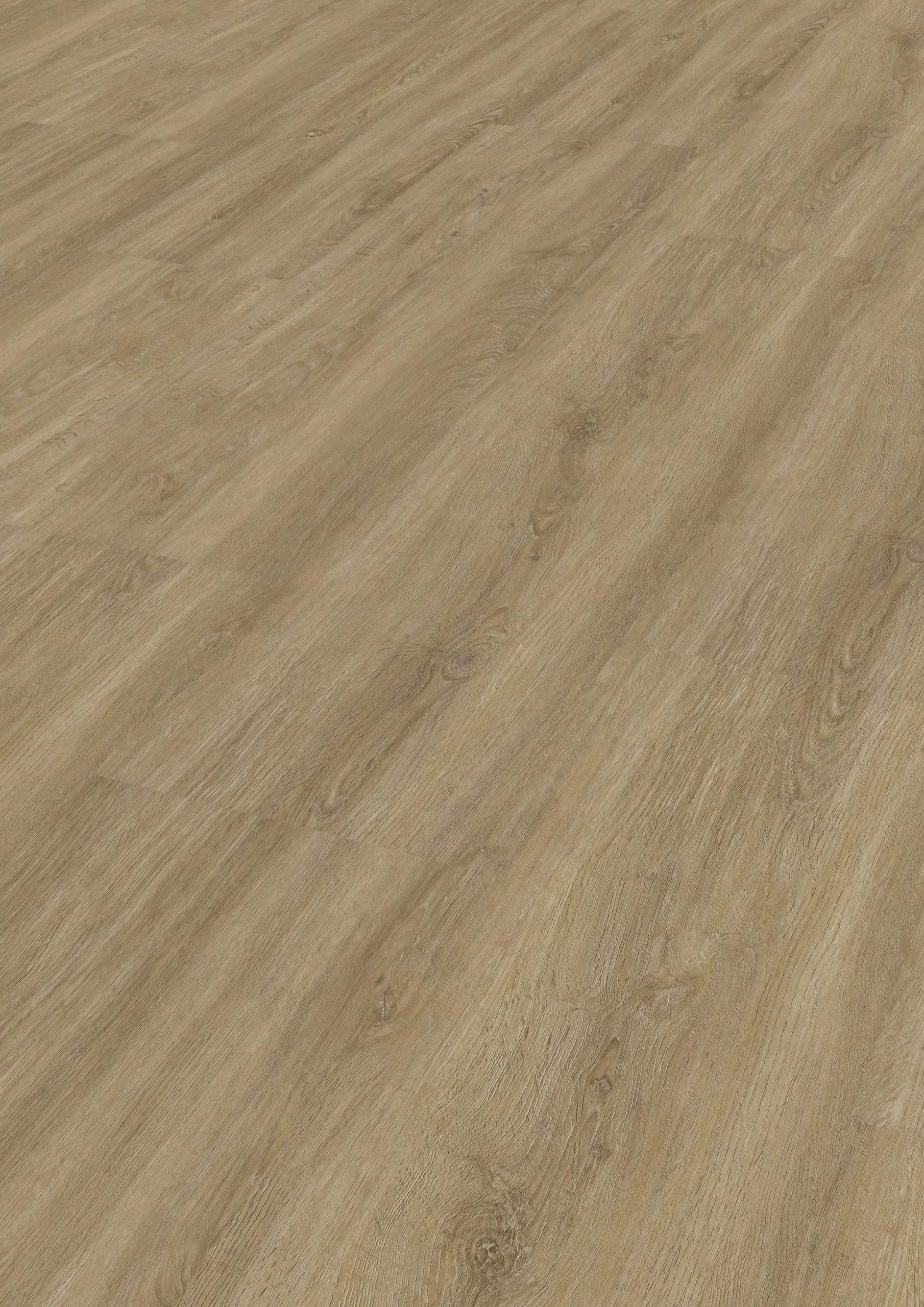 Select49-Objekt-Eiche-Trentino-natur-713 Select49-Objekt-Eiche-Trentino-natur-713