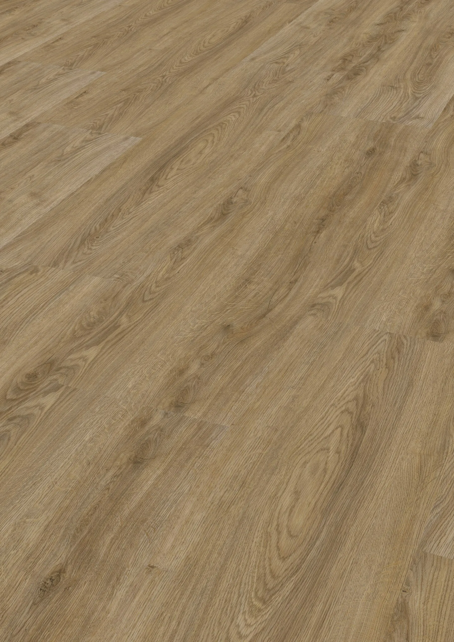 Select49-Objekt-Schlosseiche-716 Select49-Objekt-Schlosseiche-716